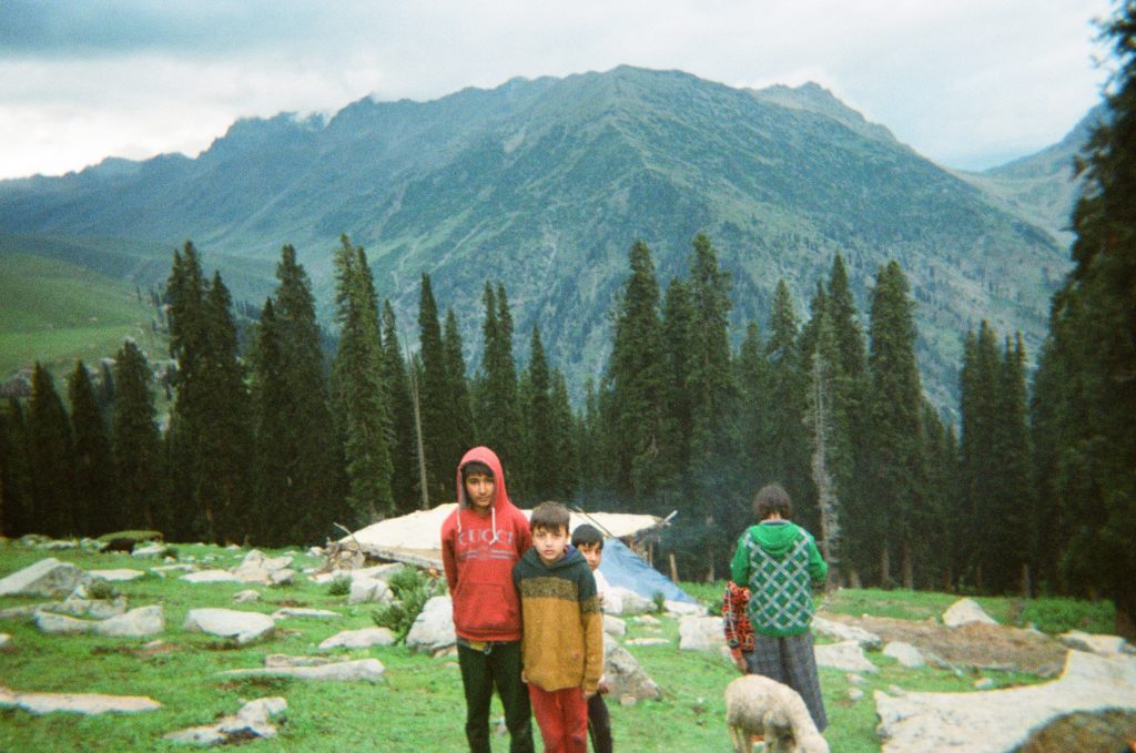 Kashmiri Shepherds Children